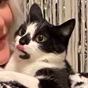 Meet your Posher, Thomas